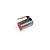 ARRMA BLX 3656 3800kv 4-Pole 3S Brushless Motor AR390228