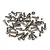 Traxxas DCB M41 Widebody Stainless Steel Screw Set 5746X