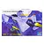 Trumpeter 1/144 YF-22 Lightning II Fighter Jet Scaled Plastic Model Kit 01331