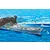 Trumpeter 1/200 USS York CV-5 Aircraft Carrier Plastic Model Kit 03711
