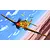 Box art illustration of two Curtiss Tomahawk fighter aircraft flying over a desert landscape with a blue sky.