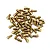 Yeah Racing 2x4mm Fine Thread Cap Head Screws 50Pcs YA-0691