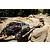 Axial SCX10 Trail Honcho RC Rock Crawler Electric 4WD 1/10 Scale RTR AX90022