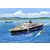 Fujimi 1/700 Osaka Mercantile Marine Affiliation Argentina Maru/Brasil Maru Ship Scaled Plastic Model Kit 432991