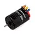 Hobbywing Quicrun 3650 G2 brushless motor with black casing, silver shaft, and orange, yellow, and blue wire connectors.