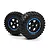 BlackZon 1.9" Desert Tyres on Black/Blue Spoked Rims - Glued Wheels 2Pcs 540184