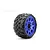 Jetko 3.6" King Cobra SGT Medium Soft Belted Tyres on Metal Blue Claw Rims - Glued Wheels 2Pcs JKO1602CLMSGBB1