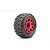 Jetko 3.6" King Cobra MT Medium Soft Belted Tyres on Metal Red Claw Rims - Glued Wheels 2Pcs JKO1802CRMSGBB1