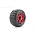 Jetko 3.6" Rockform MT Medium Soft Belted Tyres on Metal Red Claw Rims - Glued Wheels 2Pcs JKO1803CRMSGBB1