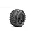 Jetko 2.8" King Cobra MT Medium Soft Tyres on Black Claw Rims - Glued Wheels 2Pcs JKO2802CBMSGNB3