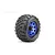 A single Jetko King Cobra 2.8 inch monster truck tyre mounted on a blue metallic Claw rim, isolated on a white background.