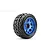 Jetko 5.3" Tomahawk XMT Medium Soft Belted Tyres on Metal Blue Claw Rims - Glued Wheels 2Pcs JKO5801CLMSGBB1