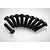 A set of ten black metal countersunk head screws arranged in a semi-circle on a white background.