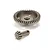 Team Magic 43T/11T Bevel Gear Set 2Pcs 510102S