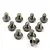 A collection of ten small silver-coloured titanium button head screws arranged on a white background.