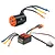 Spektrum Firma 4500Kv Brushless Motor & 30A Smart ESC Combo SPMXSEMC14
