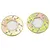 Rovan Brake Discs 2Pcs 65017
