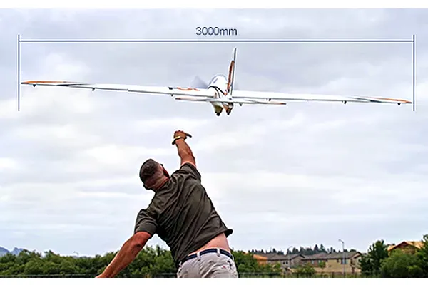 Expansive 3-Metre Wingspan