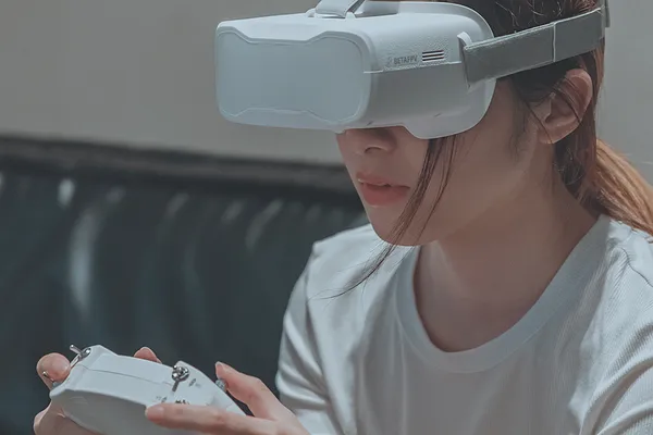 FPV Goggles