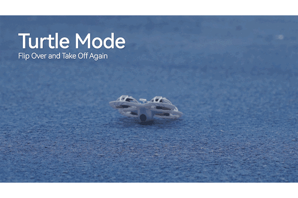 Turtle Mode