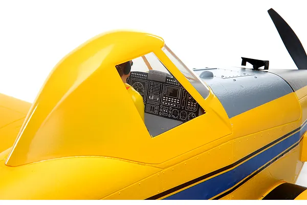 Authentic Scale Trim Scheme