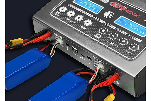 SkyRC D400 — PC software / Charge Master screenshot