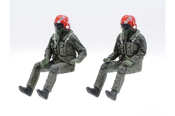 Pilot and RIO figures
