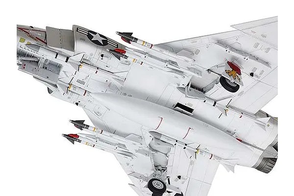 AIM-7 Sparrow and AIM-9 Sidewinder missiles