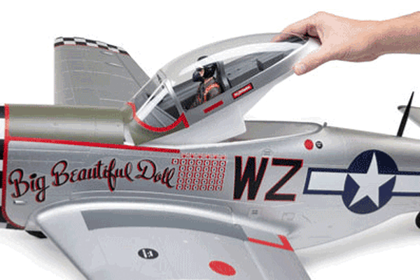 Detailed Warbird Finish