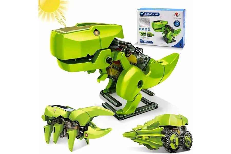 Educational Plastic Models - For a Fun Learning Experience