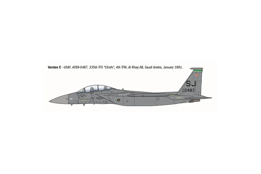A side-profile digital illustration of an F-15E Strike Eagle jet fighter in grey livery, showing markings for the 335th TFS Chiefs, 4th TFW.