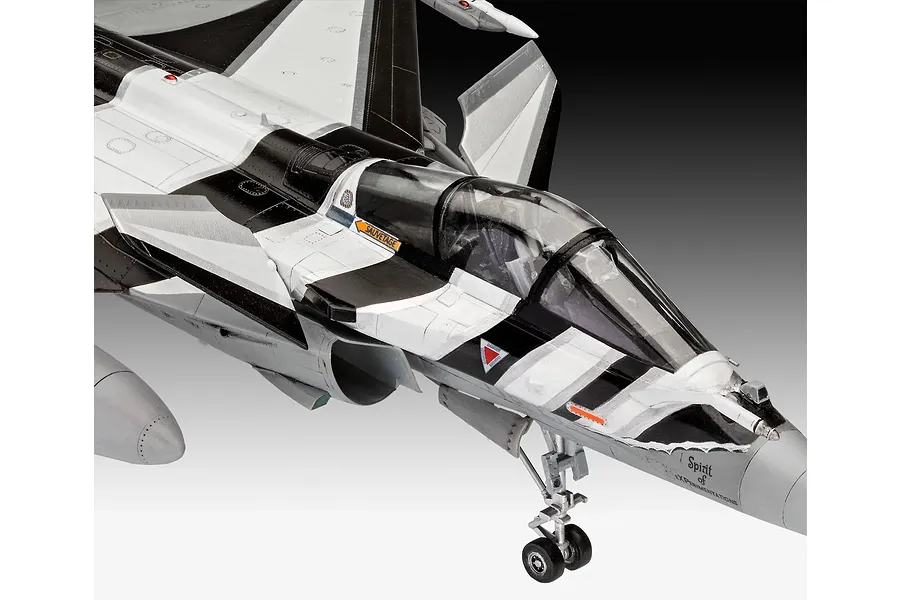 Close-up of a 1/48 scale Dassault Rafale C plastic model aircraft, featuring a striking black and white camouflage scheme and detailed cockpit.