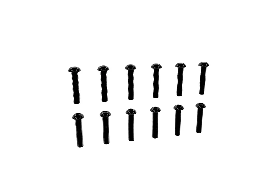 Twelve black button head screws arranged in two parallel rows on a plain white background.