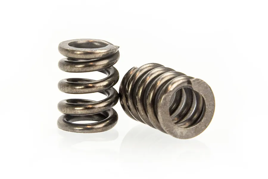 HSP Pioneer Slipper Springs 2Pcs image 48995