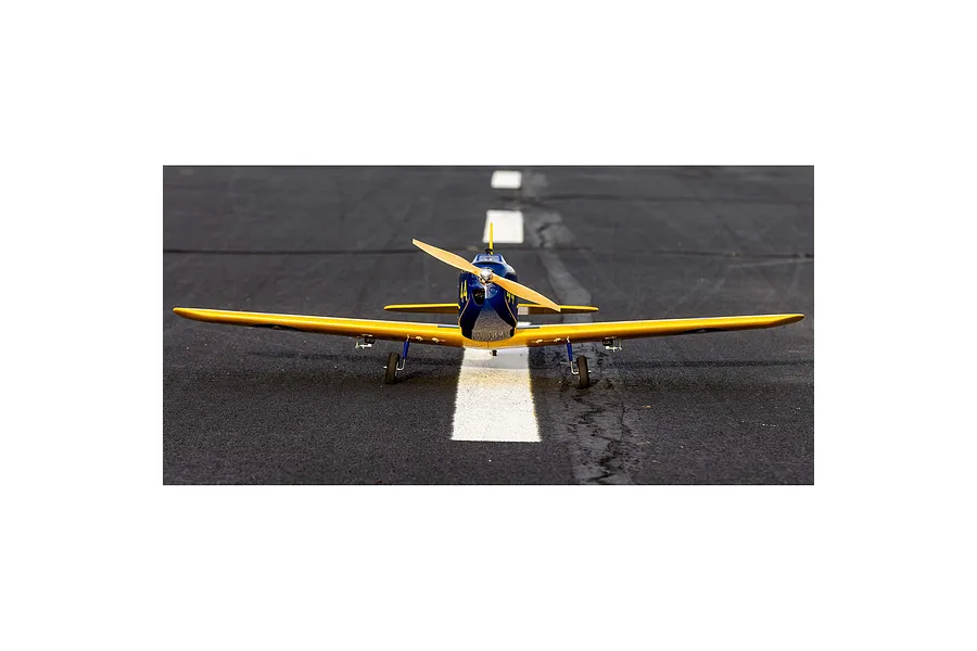 Front view of a Hangar 9 PT-19 RC warbird plane sitting on an asphalt runway with yellow and blue livery.