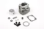 Rovan 29cc 4-bolt top end rebuild kit including cylinder, piston, rings, pin, clips, needle bearing, gasket, and bolts on a white background.