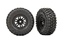 Two Traxxas 1.0 inch Canyon Trail crawler tires pre-mounted on black split-spoke wheels against a white background.
