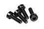 Four black metal cap head screws with star-shaped drive heads arranged on a white background.