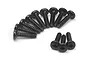 A collection of black pan head screws with coarse threads arranged in a semi-circle and a small group in the foreground.