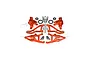 GPM Racing orange aluminium steering hubs and front suspension arms set for RC cars, including various screws, pins, and bearings.
