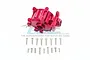 GPM Aluminium Front Gearbox - Red SB012-R