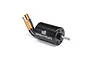 Spektrum Firma 3650 4000Kv 4-Pole Brushless Motor SPMX-1096
