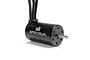 Spektrum Firma 3660-3100Kv 4-Pole Sensorless Brushless Motor SPMX-1081