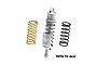 A silver GPM Racing aluminium rear shock absorber for an RC motorcycle with two additional springs, one gold and one black, on a white background.