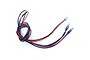 A pair of 3mm blue LED lights connected by red and black wires with a small white connector plug.