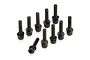 A set of ten black metal cap head screws with washers arranged on a white background.