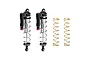 Two GPM Racing silver and black aluminium piggyback RC shock absorbers with two separate gold-coloured coil springs on a white background.