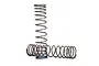 Traxxas 139mm GTR (1.250-Rate Blue Stripe) Progressive Shock Springs 2Pcs 8441