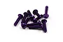 A pile of ten purple anodized aluminium button head screws with hex sockets on a white background.