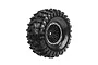 A single Louise 1.9 inch CR-Enduro RC crawler tyre mounted on a black plastic wheel, shown against a white background.